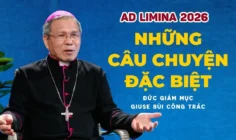 VIDEO: Ad Limina 2026: Những câu chuyện đặc biệt