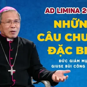 VIDEO: Ad Limina 2026: Những câu chuyện đặc biệt