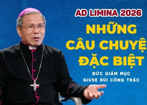 VIDEO: Ad Limina 2026: Những câu chuyện đặc biệt