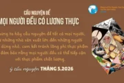 Ý cầu nguyện của Đức Thánh Cha tháng 5/2026: Cầu nguyện cho mọi người đều có lương thực