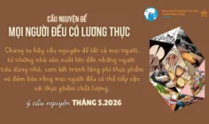 Ý cầu nguyện của Đức Thánh Cha tháng 5/2026: Cầu nguyện cho mọi người đều có lương thực