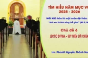 Tìm hiểu năm mục vụ 2025-2026: Mỗi Kitô hữu là một môn đệ thừa sai - Lectio divina - Suy niệm Lời Chúa