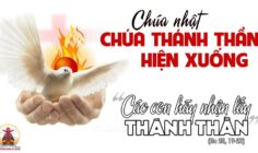 CÁC BÀI SUY NIỆM LỜI CHÚA  CHÚA NHẬT CHÚA THÁNH THẦN HIỆN XUỐNG- A