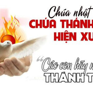 CÁC BÀI SUY NIỆM LỜI CHÚA  CHÚA NHẬT CHÚA THÁNH THẦN HIỆN XUỐNG- A