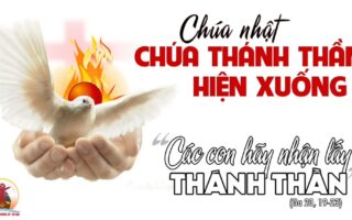 CÁC BÀI SUY NIỆM LỜI CHÚA  CHÚA NHẬT CHÚA THÁNH THẦN HIỆN XUỐNG- A