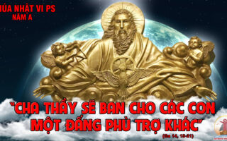 CÁC BÀI SUY NIỆM LỜI CHÚA CHÚA NHẬT VI PHỤC SINH- A