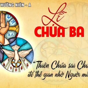 CÁC BÀI SUY NIỆM LỜI CHÚA CHÚA NHẬT CHÚA BA NGÔI- A