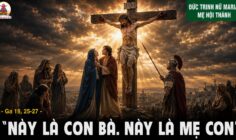 25.05.2026 – Thứ Hai Tuần VIII Thường Niên: Đức Trinh Nữ Maria, Mẹ Hội Thánh