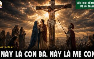 25.05.2026 – Thứ Hai Tuần VIII Thường Niên: Đức Trinh Nữ Maria, Mẹ Hội Thánh