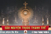 Cầu nguyện trước Thánh Thể- Ngày 17.05.2026 – Lễ Chúa Thăng Thiên – Mt 28,16-20