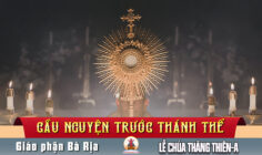Cầu nguyện trước Thánh Thể- Ngày 17.05.2026 – Lễ Chúa Thăng Thiên – Mt 28,16-20