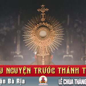 Cầu nguyện trước Thánh Thể- Ngày 17.05.2026 – Lễ Chúa Thăng Thiên – Mt 28,16-20