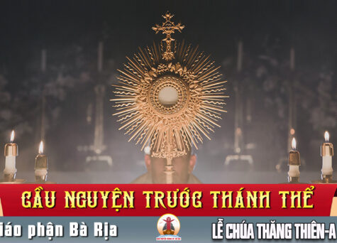 Cầu nguyện trước Thánh Thể- Ngày 17.05.2026 – Lễ Chúa Thăng Thiên – Mt 28,16-20