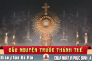 Cầu nguyện trước Thánh Thể- Ngày 10.05.2026 – Chúa nhật VI Phục Sinh – Ga 14,15-21