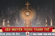 Cầu nguyện trước Thánh Thể- Ngày 24.05.2026 –Lễ Chúa Thánh Thần Hiện Xuống– Ga 20,19-23