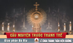 Cầu nguyện trước Thánh Thể- Ngày 24.05.2026 –Lễ Chúa Thánh Thần Hiện Xuống– Ga 20,19-23