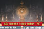 Cầu nguyện trước Thánh Thể- Ngày 24.05.2026 –Lễ Chúa Thánh Thần Hiện Xuống– Ga 20,19-23
