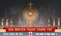 Cầu nguyện trước Thánh Thể- Ngày 10.05.2026 – Chúa nhật VI Phục Sinh – Ga 14,15-21