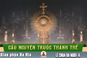 Cầu nguyện trước Thánh Thể- Ngày 31.05.2026 – Lễ Chúa Ba Ngôi – Ga 3,16-18
