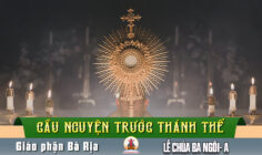 Cầu nguyện trước Thánh Thể- Ngày 31.05.2026 – Lễ Chúa Ba Ngôi – Ga 3,16-18