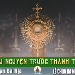 Cầu nguyện trước Thánh Thể- Ngày 31.05.2026 – Lễ Chúa Ba Ngôi – Ga 3,16-18