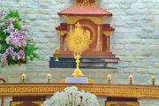 Gx. Tân Phước: Chầu Thánh Thể thay Giáo phận - Ngày 10.5.2026