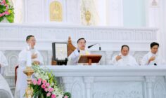 Gx. Thủ Lựu: Cha Augustinô Vũ Văn Xuân tiếp nối sứ vụ chủ chăn