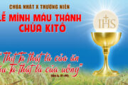 CÁC BÀI SUY NIỆM LỜI CHÚA CHÚA NHẬT MÌNH MÁU CHÚA KITÔ- A