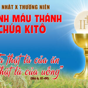 CÁC BÀI SUY NIỆM LỜI CHÚA  CHÚA NHẬT MÌNH MÁU CHÚA KITÔ- A