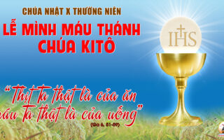 CÁC BÀI SUY NIỆM LỜI CHÚA  CHÚA NHẬT MÌNH MÁU CHÚA KITÔ- A