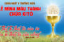 CÁC BÀI SUY NIỆM LỜI CHÚA CHÚA NHẬT MÌNH MÁU CHÚA KITÔ- A