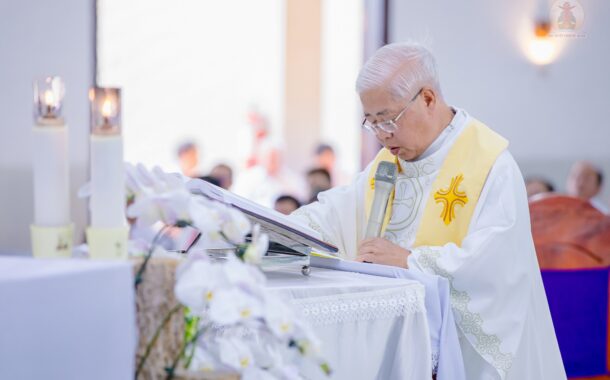 Gx. Ngãi Giao: Chào đón vị chủ chăn mới: Cha Anphongsô Nguyễn Văn Thế