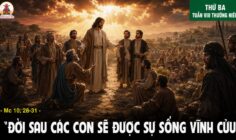 26.05.2026 – Thứ Ba Tuần VIII Thường Niên