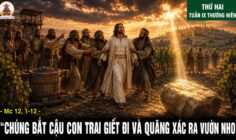 01.06.2026 – Thứ Hai Tuần IX Thường Niên