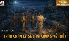 11.05.2026 – Thứ Hai Tuần VI Phục Sinh