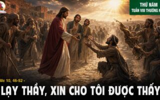 28.05.2026 – Thứ Năm Tuần VIII Thường Niên