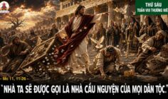 29.05.2026 – Thứ Sáu Tuần VIII Thường Niên