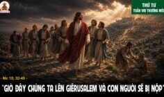 27.05.2026 – Thứ Tư Tuần VIII Thường Niên