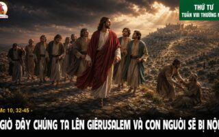 27.05.2026 – Thứ Tư Tuần VIII Thường Niên