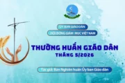 Ủy ban Giáo dân - Thường huấn tháng 5/2026: Chứng tá giữa đời thường