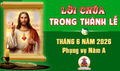 Lời Chúa trong thánh lễ hàng ngày Tháng 6 năm 2026 – Năm A