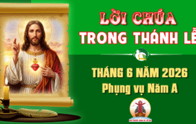 Lời Chúa trong thánh lễ hàng ngày Tháng 6 năm 2026 – Năm A