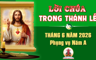Lời Chúa trong thánh lễ hàng ngày Tháng 6 năm 2026 – Năm A