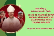 Vị chủ tế thánh lễ Tuyên phong Chân phước cho cha Phanxicô Xaviê Trương Bửu Diệp