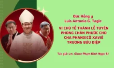 Vị chủ tế thánh lễ Tuyên phong Chân phước cho cha Phanxicô Xaviê Trương Bửu Diệp