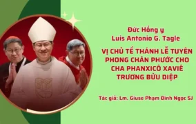 Vị chủ tế thánh lễ Tuyên phong Chân phước cho cha Phanxicô Xaviê Trương Bửu Diệp
