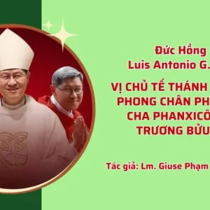 Vị chủ tế thánh lễ Tuyên phong Chân phước cho cha Phanxicô Xaviê Trương Bửu Diệp