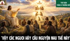 18.06.2026 – Thứ Năm Tuần XI Thường Niên