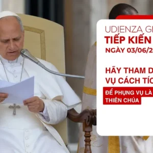 Tiếp kiến chung 3/6/2026 - ĐTC Lêô XIV: Hãy tham dự Phụng vụ cách tích cực để Phụng vụ là cuộc gặp gỡ Thiên Chúa
