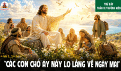 20.06.2026 – Thứ Bảy Tuần XI Thường Niên